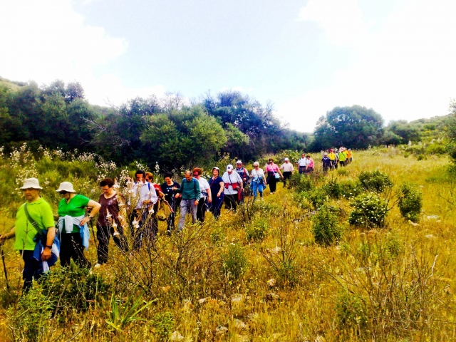  Caminhadas pelo parque 